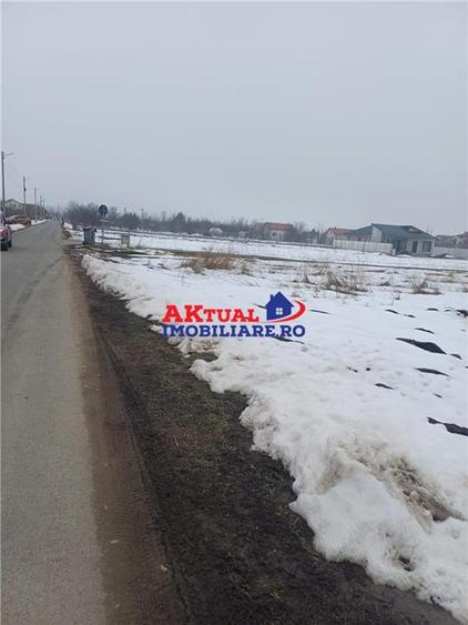 Vanzare Teren-8100mp-Domnesti -Teghes - 5