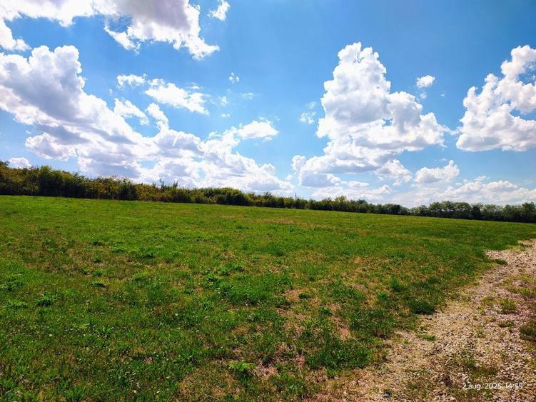 Teren extravilan - 10