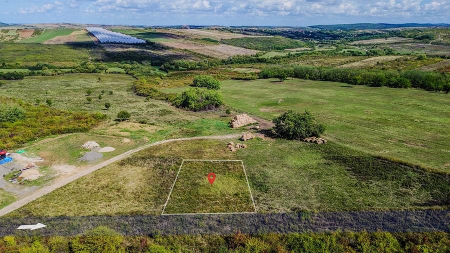 Teren intravilan de vanzare – 902 mp, Paleu, Bihor | PUZ aprobat - 4