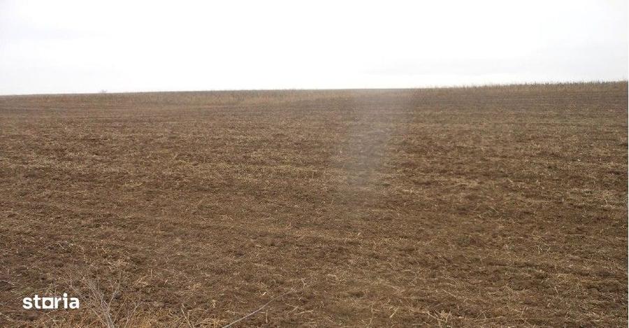 Teren extravilan Negrilesti, cota parte 2/18, ID: R2940348 - 1