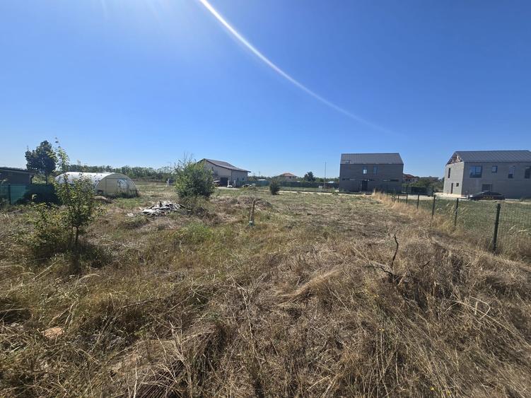 Gulia, Tartasesti, Eden Forest Residence,Samurcasi - 4