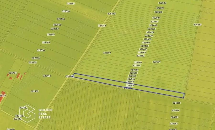 Teren agricol, 14 630 mp, Vladimirescu, ZERO COMISION - 1