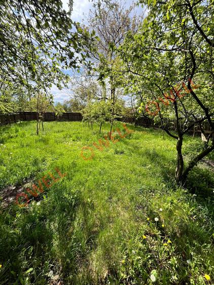 De vânzare casă familială în Tinoasa, la 4 km de Târgu Secuiesc! - 14