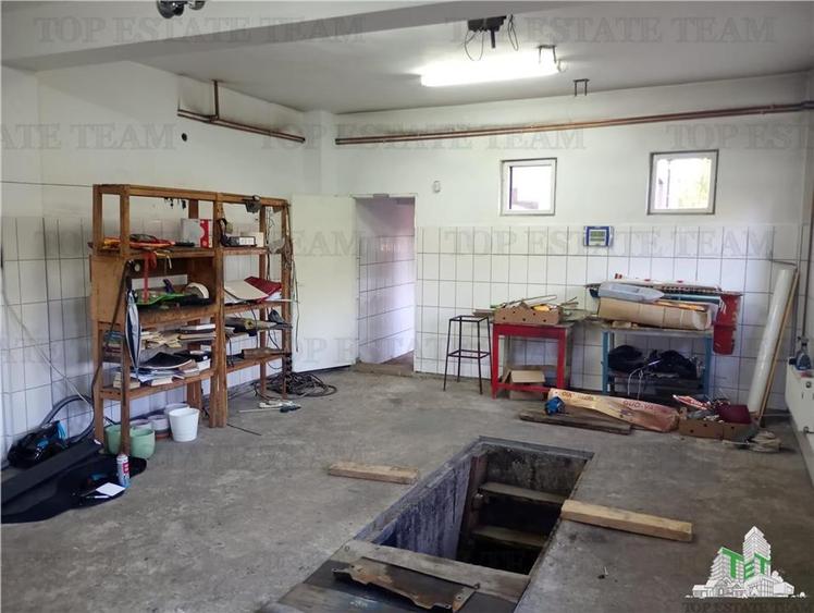 Vila deosebita,  Brancoveanu, Luica, curte generoasa. Merita vazuta! - 6