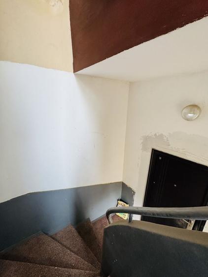 Apartament 3 camere in Vila+Demisol locuibil 18,40 mp - Parcul Carol - 14