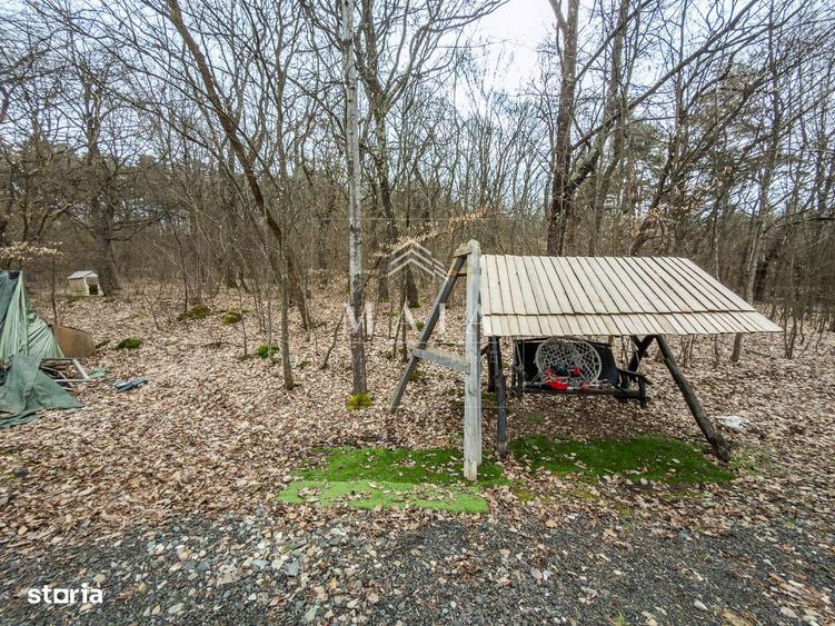 Teren extravilan 2200 mp, zona Calea Poplacii, la 5 min de Valea Aurie - 5