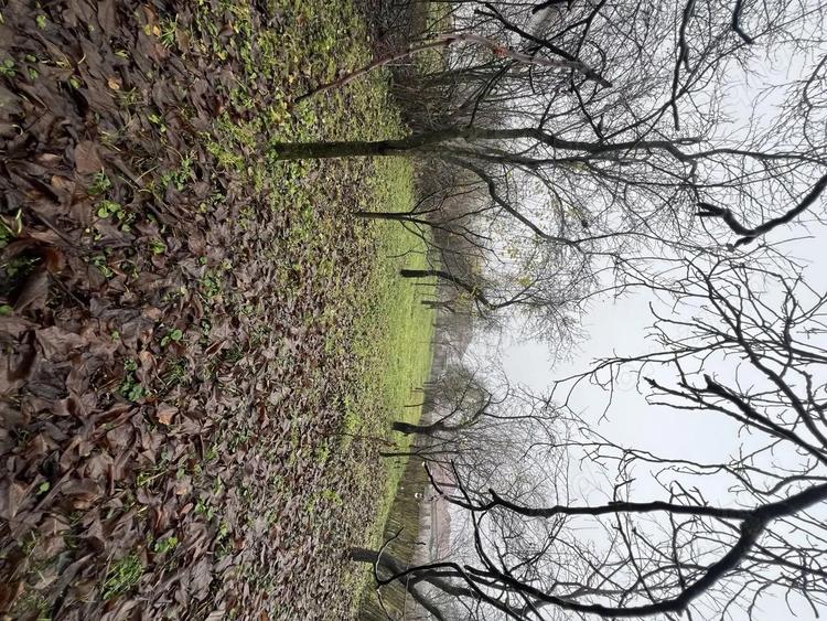 Casa de vanzare sat. Vechea com. Chinteni - 6