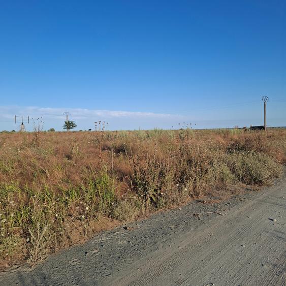 Corbu-faleza-loturi de 515mp - 2