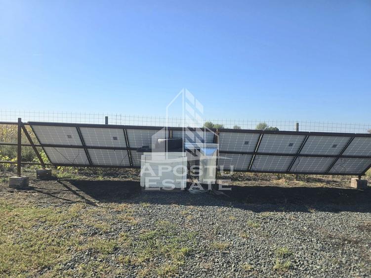 Fermă cu casa, zero comision, in Horia - 8