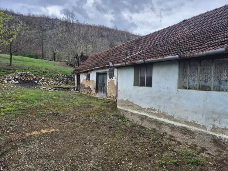 Casa in Carasova - 3