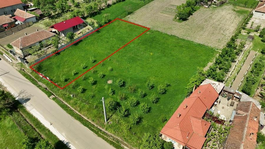 RECO . Teren intravilan in Betfia 2180mp . - 4