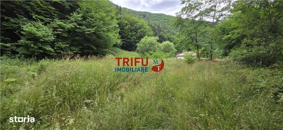 Spațiu comercial, în Poiana Galdei