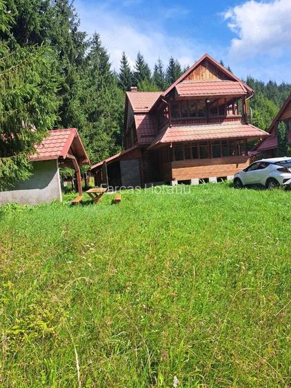 Cabana in mijlocul naturii, de vanzare, zona Lunca Bradului - Salard
