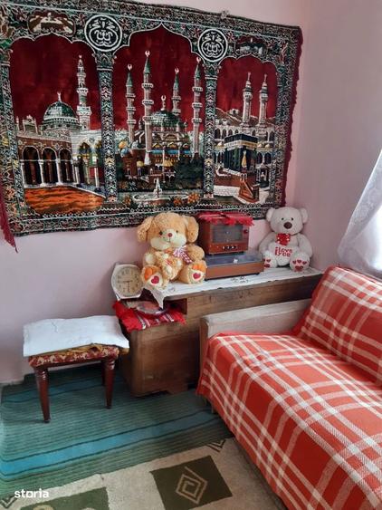 Casa Davidesti, la strada principala - 2