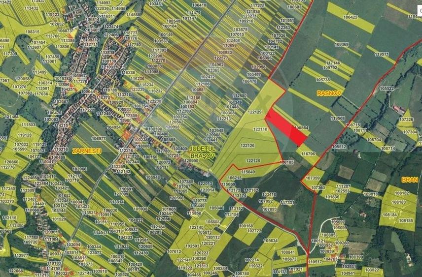 Teren Bran Sohodol - 11089, extravilan - 4