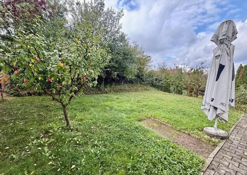 AA/331 De inchiriat casa singur in curte in Tg Mure? - Tudor - 16