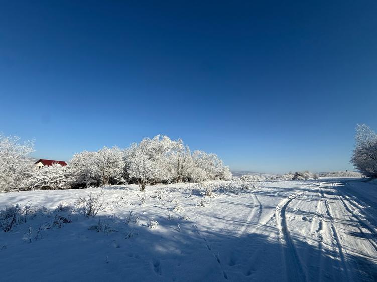 Teren intravilan 500 sau 1000 mp Bran-Tohanita la dum asfaltat - 28