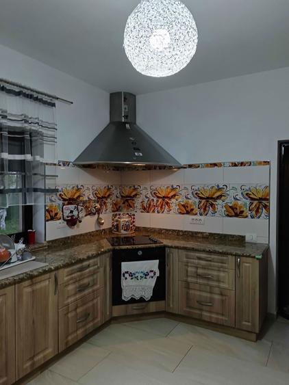 Casa cu etaj in Paulis jud.Arad - 4