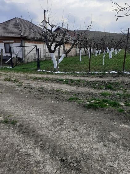 Vand teren extravilan livada - 4