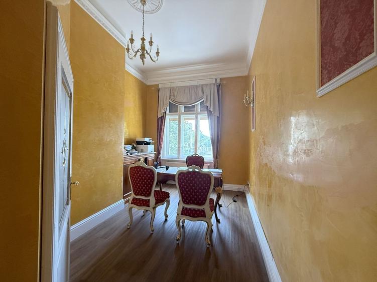 Spatiu de birouri-Ultracentral Timisoara - 25