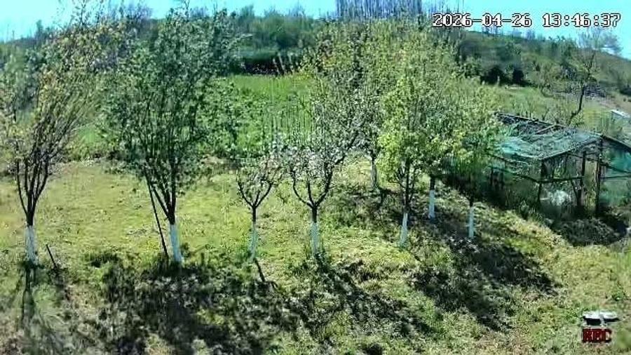 vanzare casa ?i teren la ?ara - 5