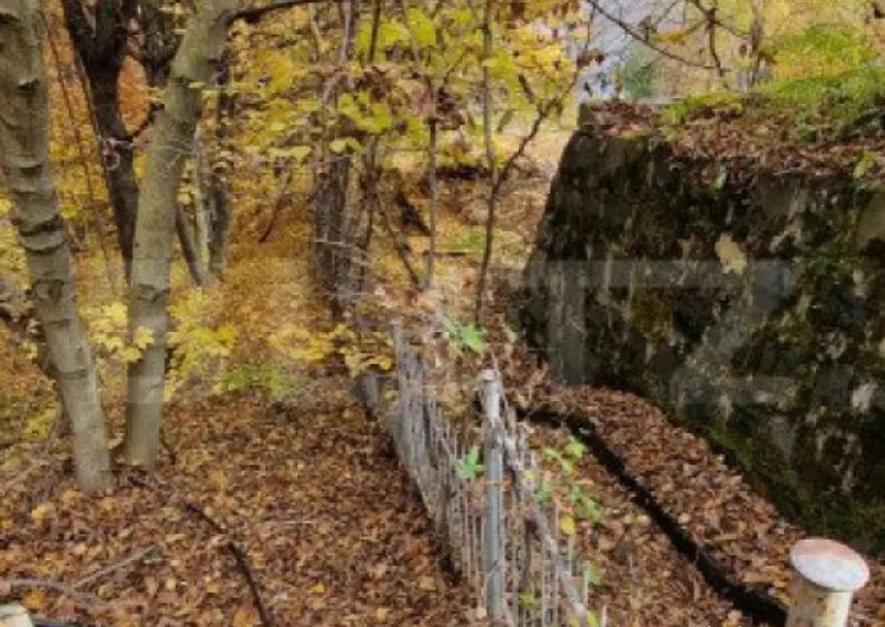 Teren extravilan 1200 mp, cu cabana, Tarnita, iesire la lac! - 3