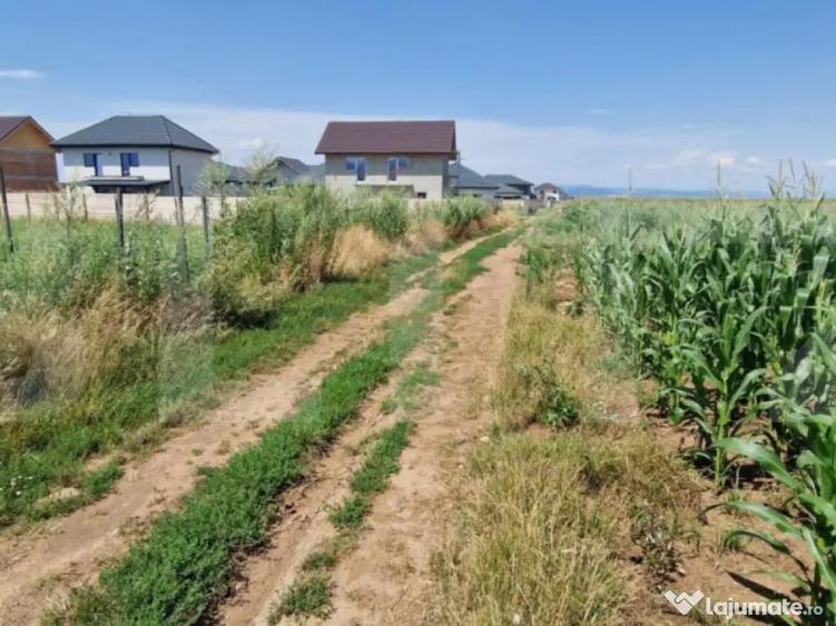 ???? Teren de vanzare, partial intravilan Izvor, Tarlu - 2