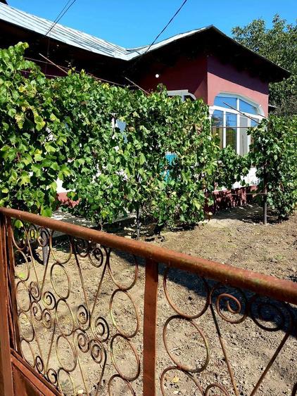 Casa spatioasa comuna Furculesti, judetul Teleorman - 4