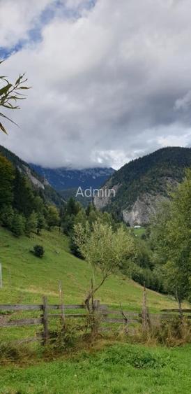 Teren cu energie speciala, Pestera/ 13570mp extravilan/Comision 0 %