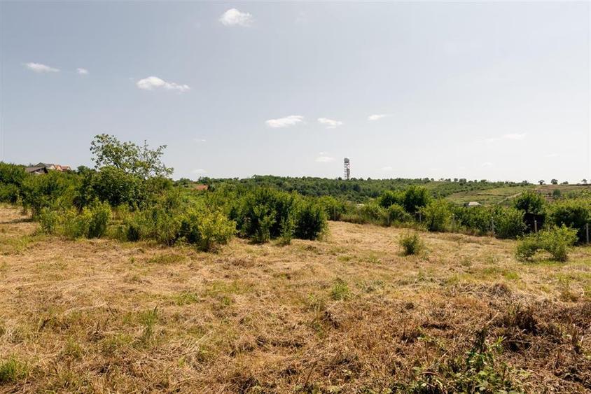 Teren intravilan de 1200 mp, în Paleu