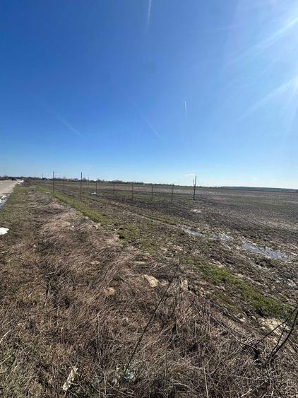 teren de vanzare - 6