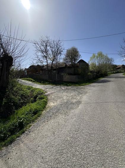 Vand casa la Cacova Ierii - 3