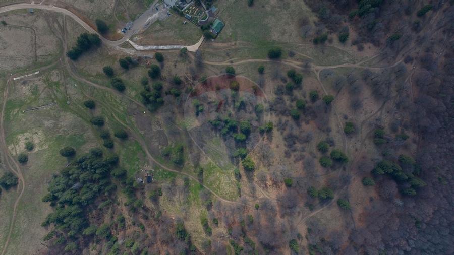 Teren Poiana Brasov, langa Stana turistica 1872mp, PUZ case/ pensiuni - 4