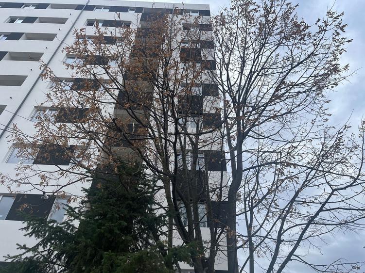 Studio nou - Centrala proprie Comision 0% - 6