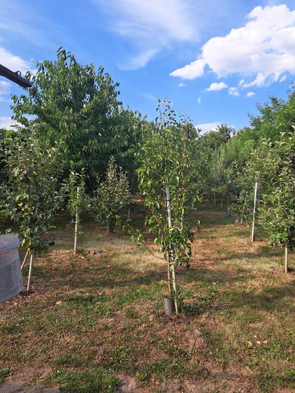 VILA IN REGIM DE INALTIME PARTER SI ETAJ ULTRAFINISATA PE 19 ARI TEREN - 11