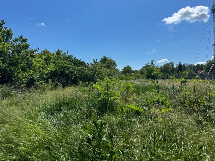 Teren Snagov – Ideal pentru dezvoltare rezidentiala sau investitie! - 4