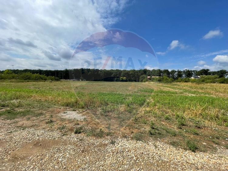 Teren Snagov adiacent Complex Sportiv Snagov - 4