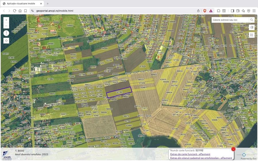 Teren intravilan 18.200 mp Saftica Balotesti - 9