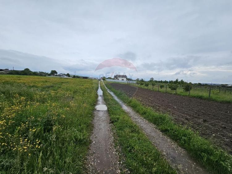 Teren 1,495mp Dobreni / Strada Parau Almas - 19