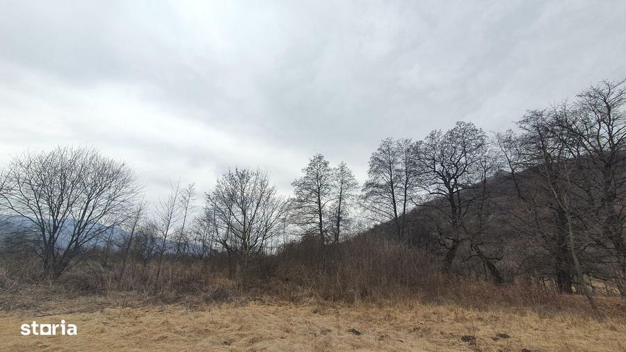Teren Stana de Vale Sovata - Telek Patakmajor - 9