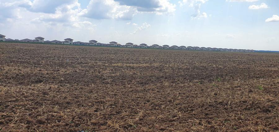 Vand teren 23300 mp Balotesti. - 4