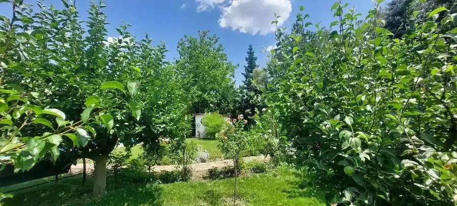 Vila cu 8 Camere Corbeanca | Semineu | Curte 2300mp | Piscina | Sauna - 9