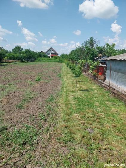 Vand casa comuna Apateu Arad - 8