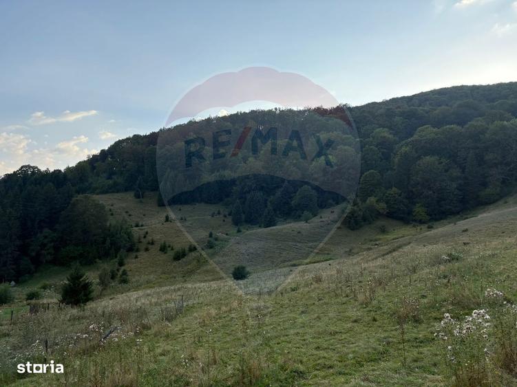 Teren Exclusiv Pentru Investitie In Zona De Agrement Brasov, Dn 1E - 5