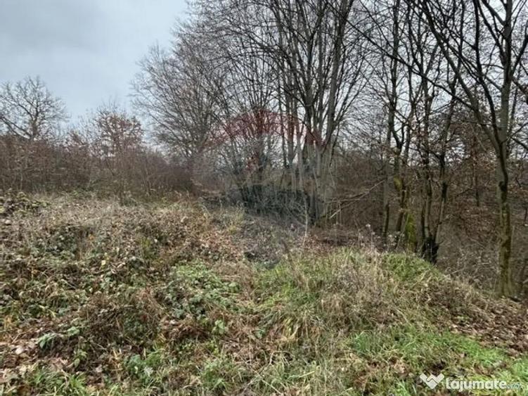 Teren 1,200mp si 400m2 cota drum Satu Nou de Jos / Strada... - 2