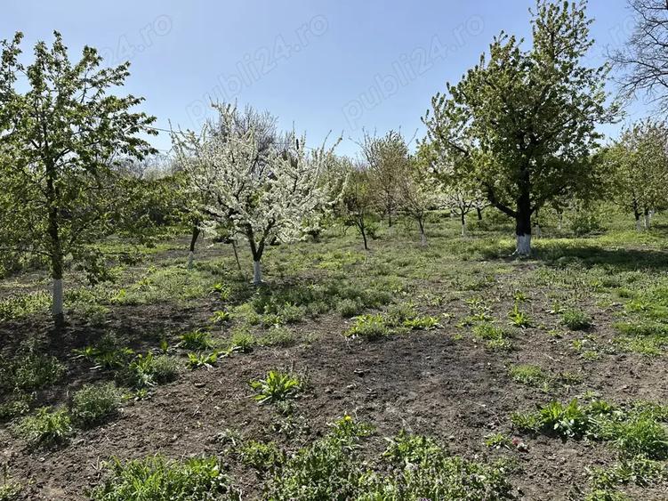 Casa cu 3 camere Zaicesti - 3