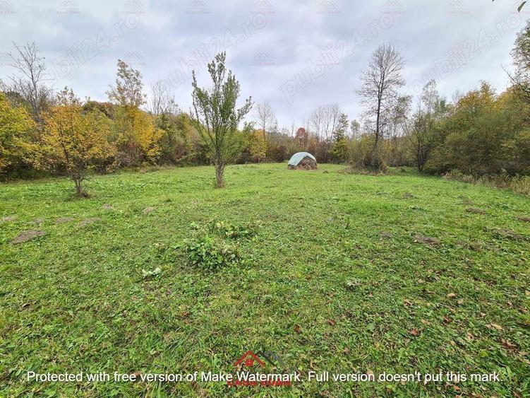 Teren intravilan in Provita de Jos 14.340 mp-- 90.000 e - 9