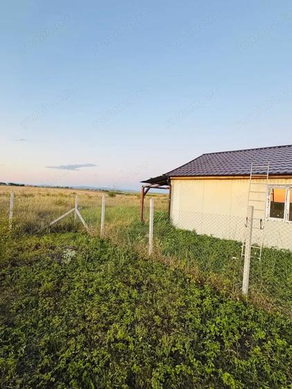 AV655 Teren-Balta 6.663mp, in Masloc-Alios, IDEAL INVESTITIE - 12