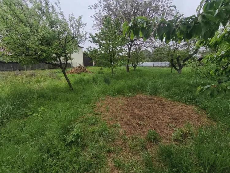 Casa + teren 1767 mp, zona Horea, Radauti - 1