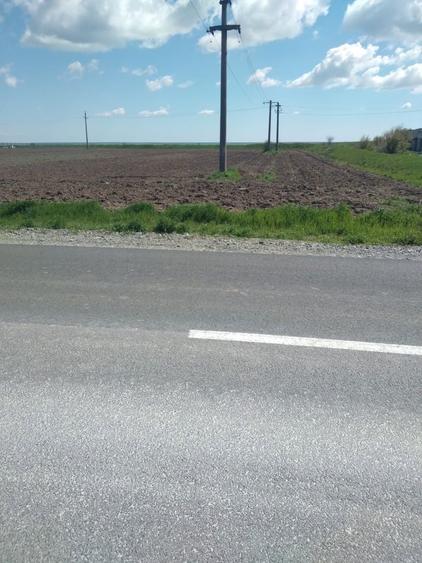 Vand teren extravilan Kogalniceanu - 3
